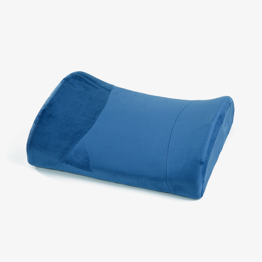 Back Cushion